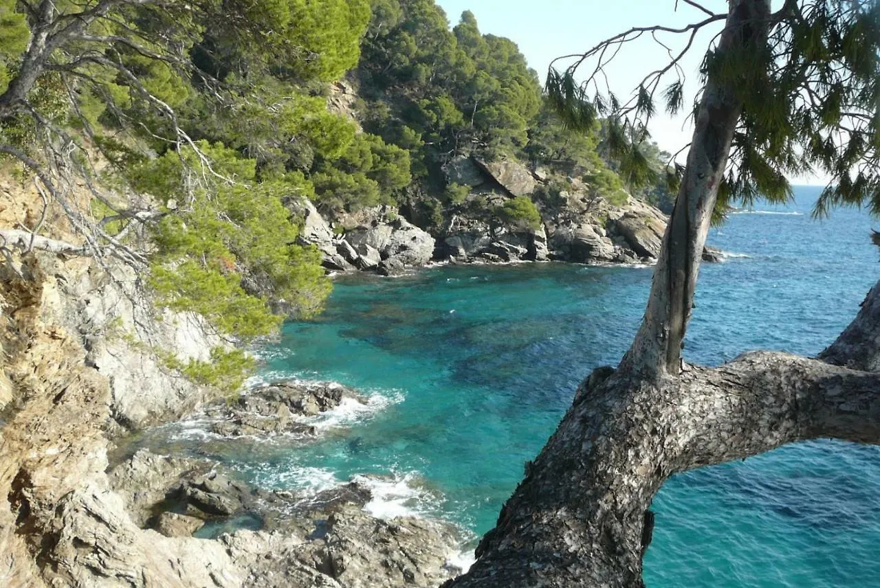 Appartamento San Domenico Le Le Rayol-Canadel-sur-Mer Francia